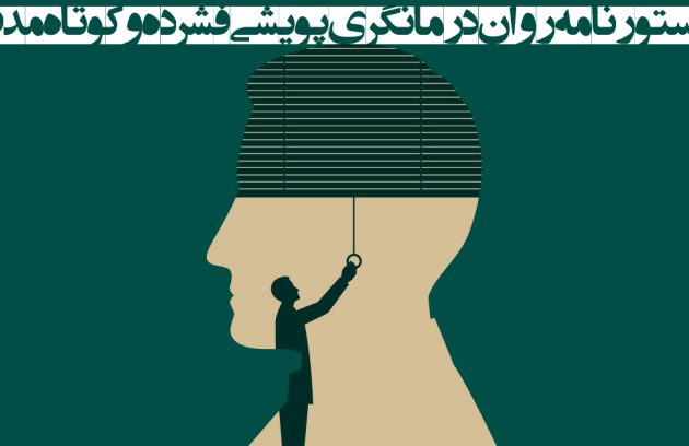 دستور نامه روان پویشی کوتاه مدت