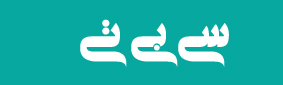 سی بی تی